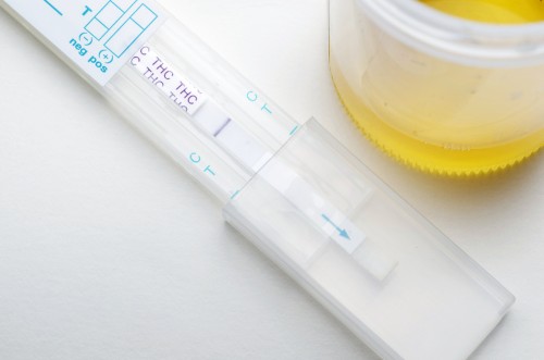 drug-test-500x331